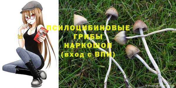 мяу мяу мука Алзамай