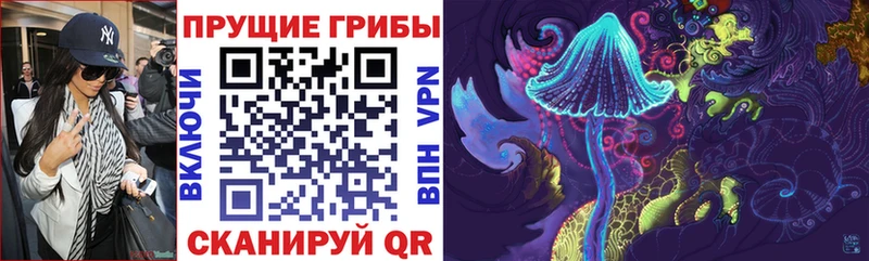 Псилоцибиновые грибы мухоморы  Дмитриев 